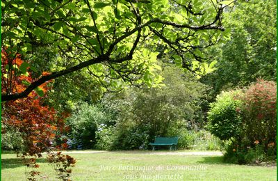 Parc botanique de Cornouaille (29120 ] COMBRIT PONT-L ABBE