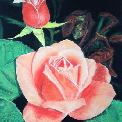 Mignonne allons voir si la rose...