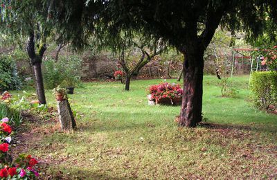 L'organisation du jardin