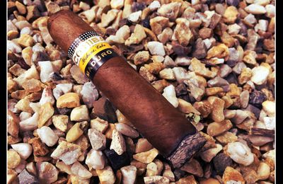 Cohiba "Magicos"