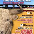 TOROS EN ORTHEZ