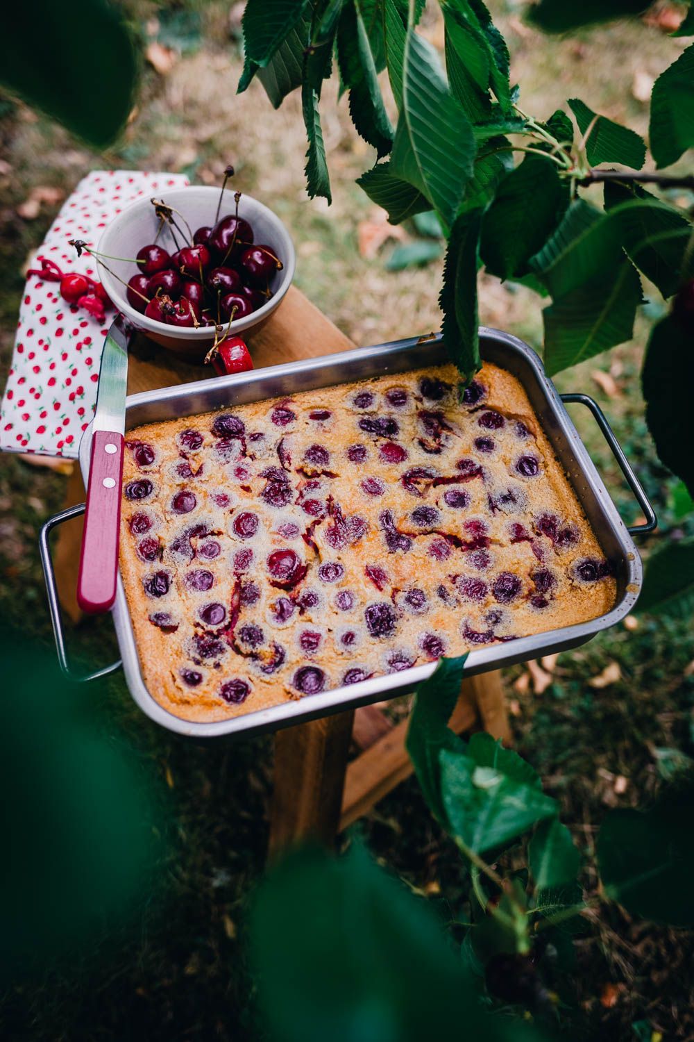 clafoutis aux cerises, clafoutis crémeux, comme un flan, recette d'été, estivale, recette facile, cerises