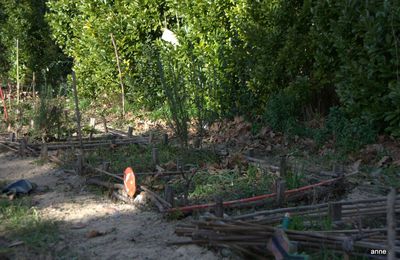 Jardinage avec les enfants.