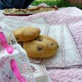 Cookies pralinoise... (Schnell recette #2)