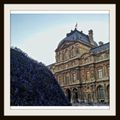 Dior massive floral installation #walkingby #courcarree #Louvre #pfw #Paris #Dior #Fashion #Flowers 