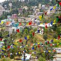 Voyage Inde du Nord : Dharamsala