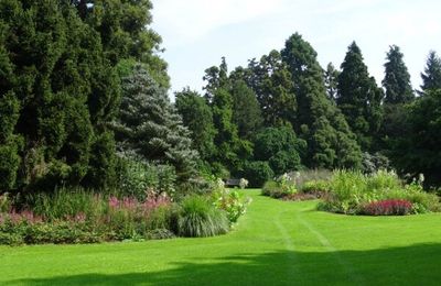 L'arboretum Kalmthout