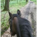 Vacances + soleil = sortie à cheval!!!