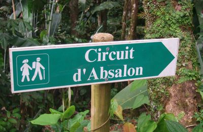 Randonnée Absalon