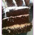 cake chocolat noix de coco