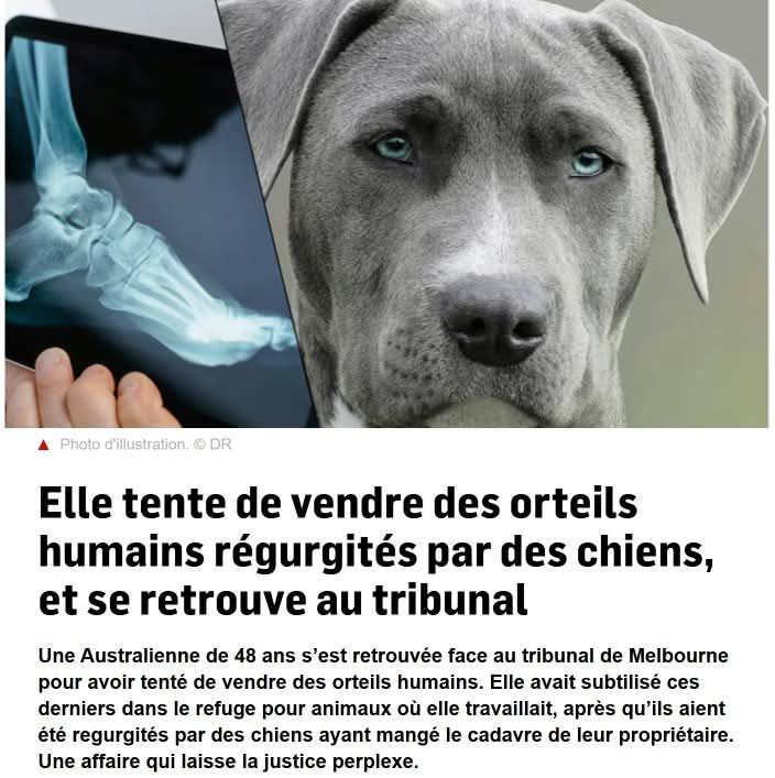 Bon appétit bien sûr