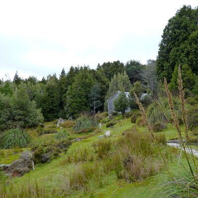 DAY 5&6 of the Overland Track