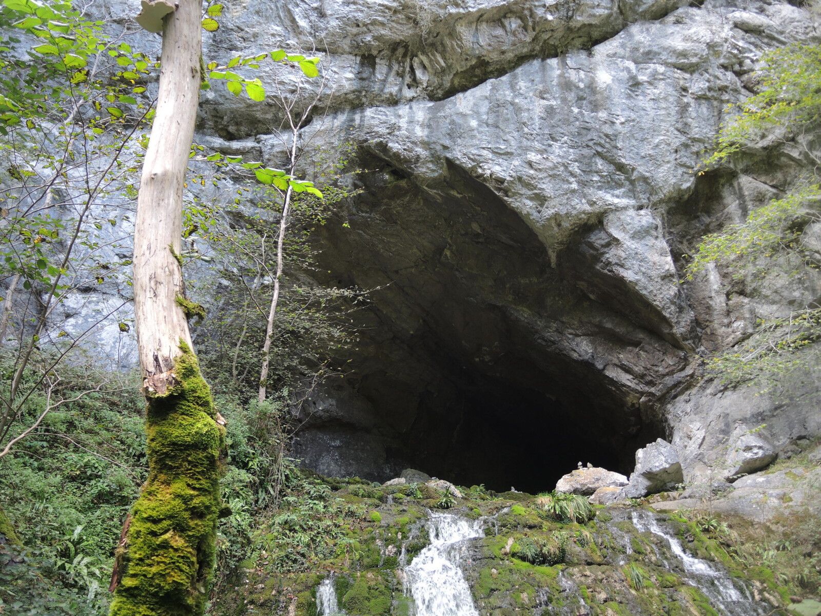 Sources de la Bidouze, sentier, entrée de la grotte (64)