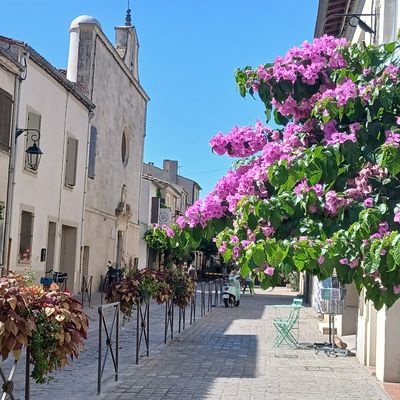 La Virée à Aigues-Mortes