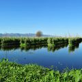 Les jardins flottants 