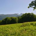 Un jour en forêts d'Aspe Barétous, le 25 juin 2012.