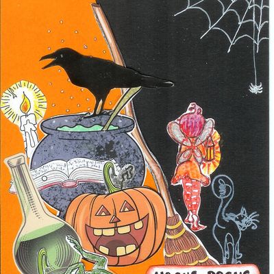 le chaudron, la citrouille et le chat sont prêts