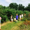 Blueberry picking 2017!! Frog pond Farm and Architectural trees farm...