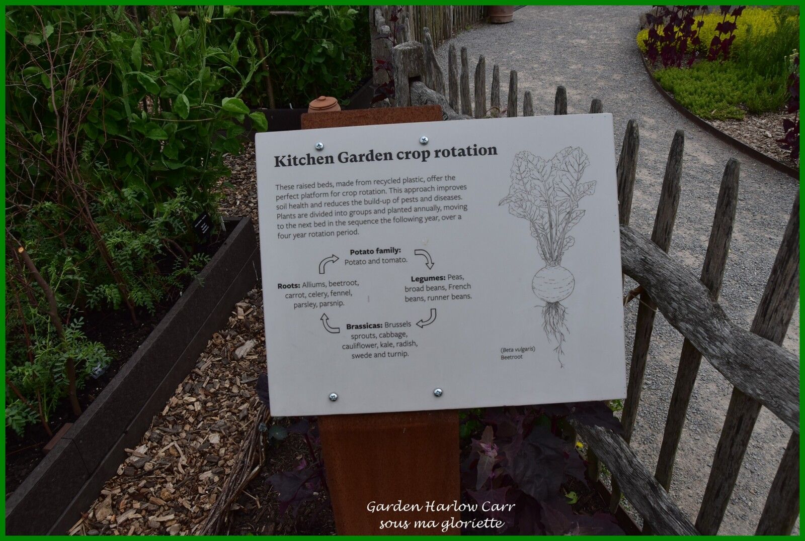 Les jardins de Harlow Carr; YORKSHIRE, Angleterre - 1ère partie/2