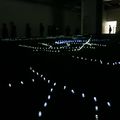 Biennale d'art contemporain : la vie moderne