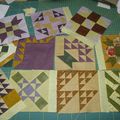 The farmer's wife sampler quilt, plus que 12