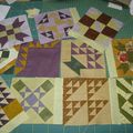 The farmer's wife sampler quilt, plus que 12