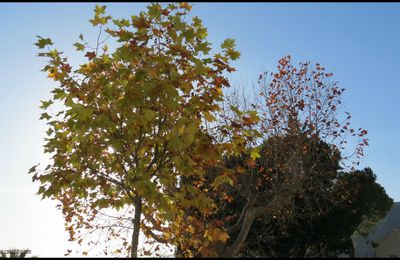 Une journée d'automne