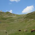 Merci Andorre: on est pas des vaches à lait :o)!