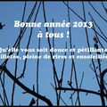 ***Bonne Année 2013***