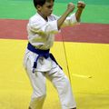 Coupe de France Wado-Ryu (karaté)