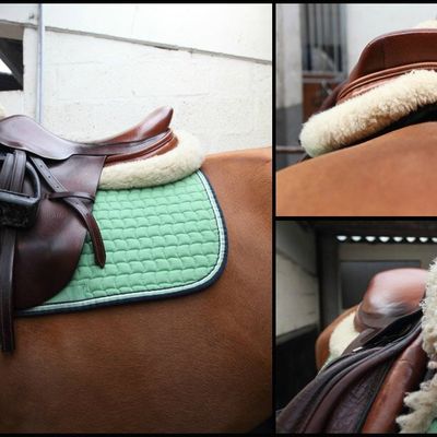 Faut-il ou non mettre un amortisseur sous sa selle ?