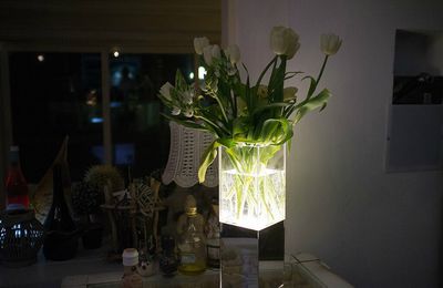 Prototype de la lampe de David Bitton, exposée dans un restaurant