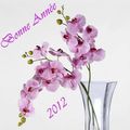 BONNE ANNEE 2012