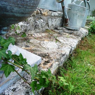 "zinc & potager"