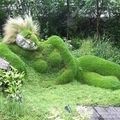 Le jardin sophistication et originalité 
