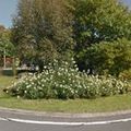 Rond-point à Charleville-Mézières