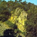 BAGNOLES DE L'ORNE  -  HISTOIRE DES THERMES ...