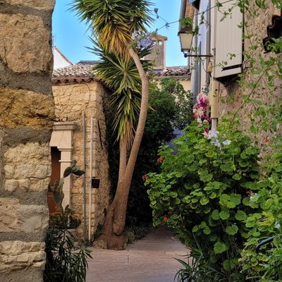 8 juillet : départ  vers la Hongrie