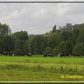 Paysages (Saint-Rémy les Chevreuse 1/3)