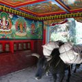 Trek dans la région de l'Everest