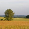 Aux alentours de Bénévent l'abbaye