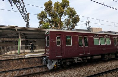 Erebos Tour 2023 - 38 : l'arbre sacré de la gare de Hattori-tenjin