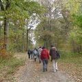 RANDONNEE EN FORÊT DE RAMBOUILLET