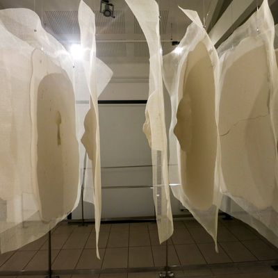 Exposition au majorat jusqu'au 29 novembre 2019