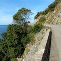 Le Cap Corse : de Saint-Florent à Nonza