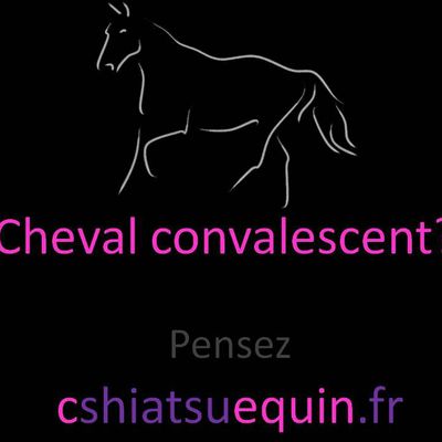 Cheval convalescent?