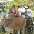 Tourisme a Banteay Chhmar