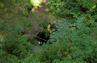 Du Montchal au Montcineyre