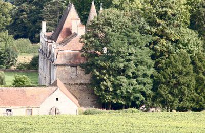 Paysages de Bourgogne # 2