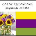 Color Throwdown